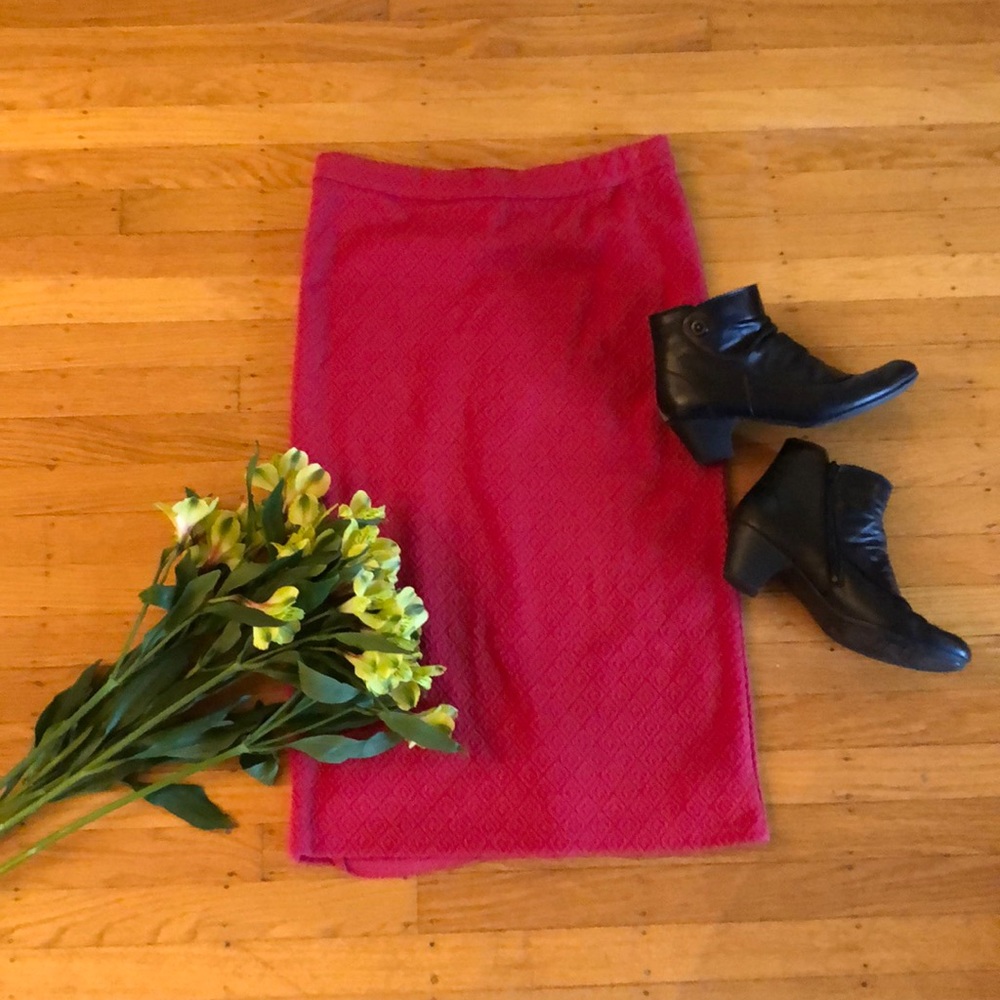 Anthropologie skirt